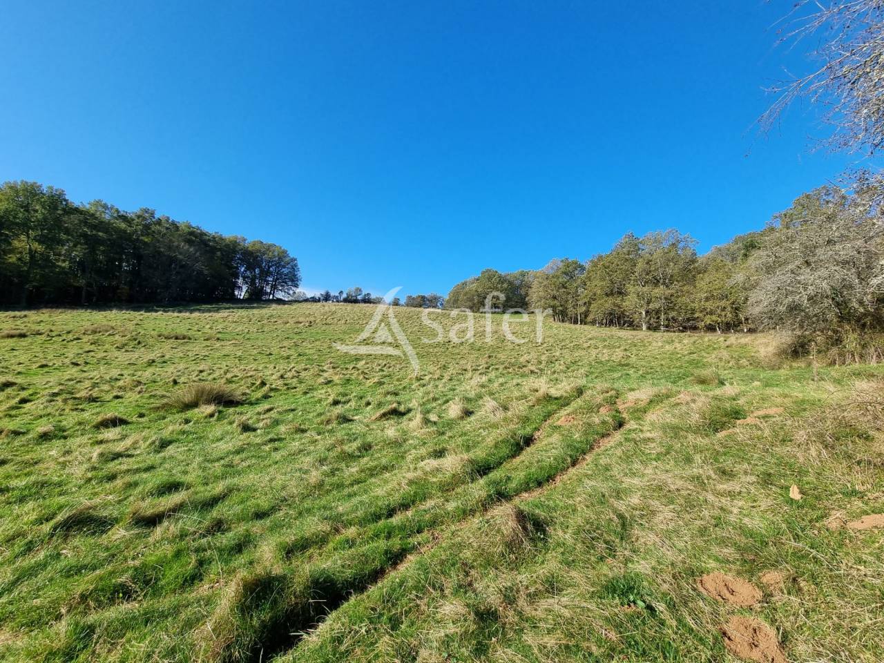 Propiedad rural En venta Lot