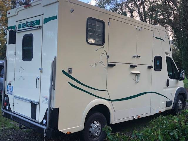 Furgoneta para caballos Trans Box RM 08 2013 De segunda mano