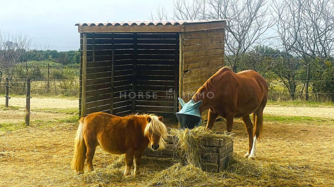 Propiedad ecuestre En venta Hérault
