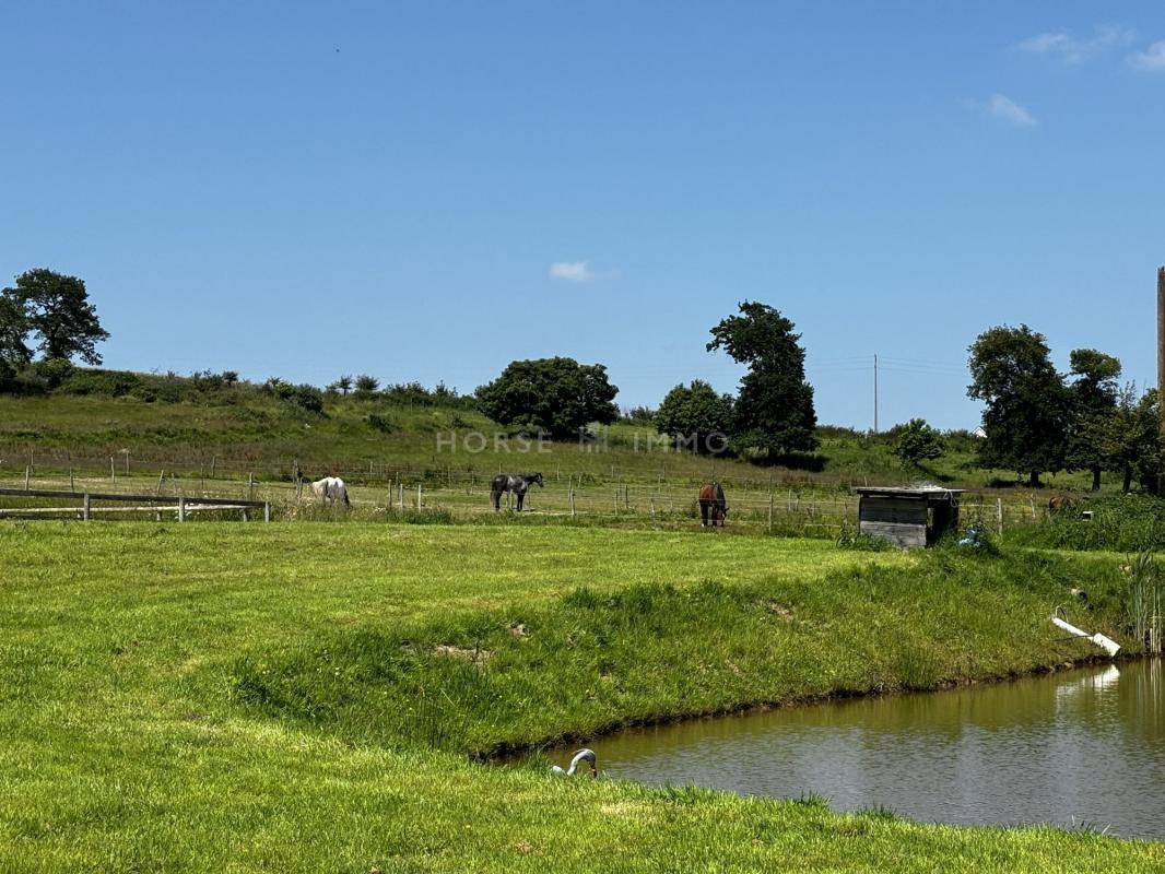 Acaballadero En venta Ile y Vilaine