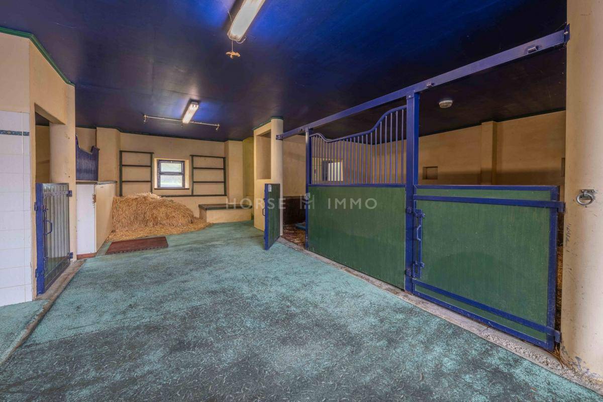 Acaballadero En venta Alta Saboya