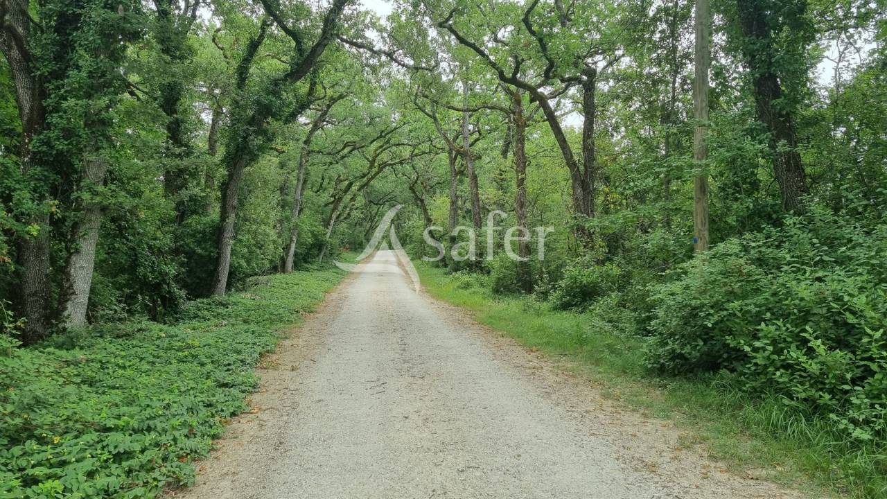 Propiedad rural En venta Gers