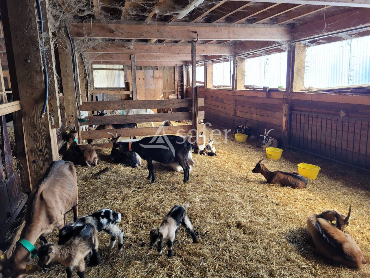 Explotación agrícola En venta Saboya