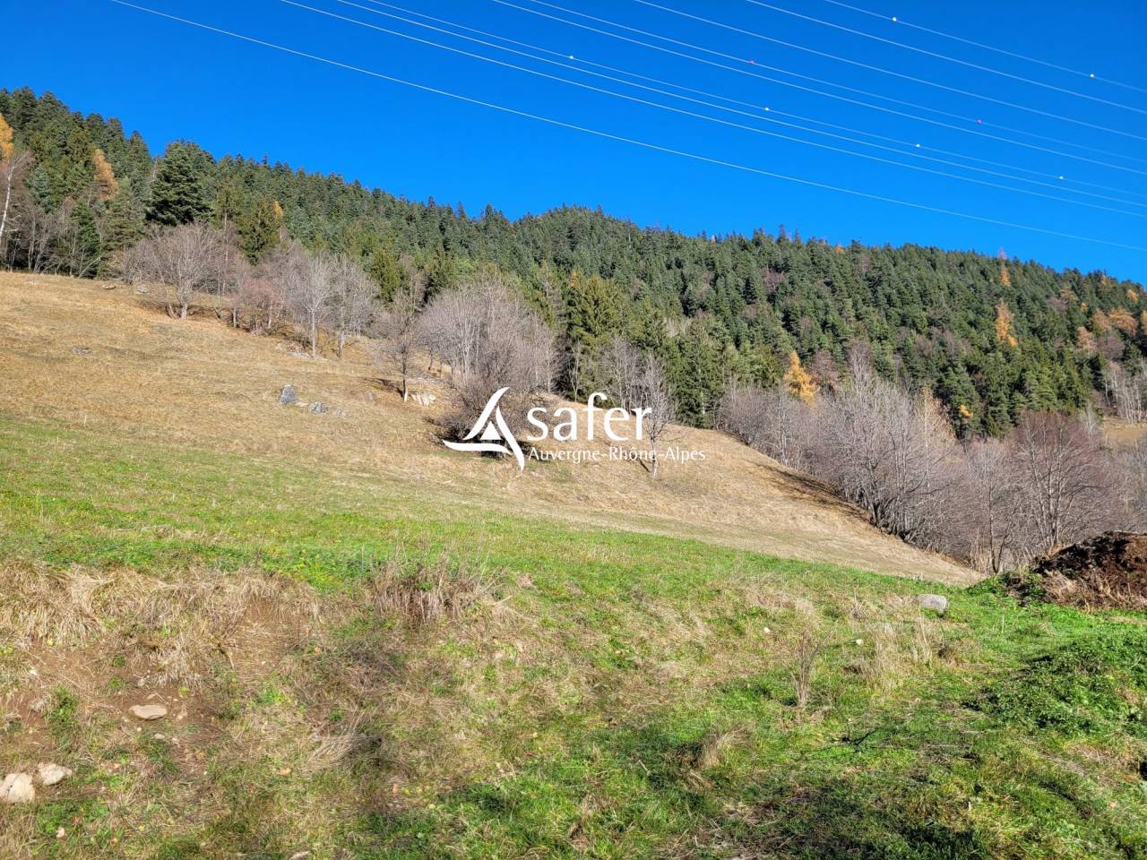 Explotaci&oacute;n agr&iacute;cola En venta Saboya