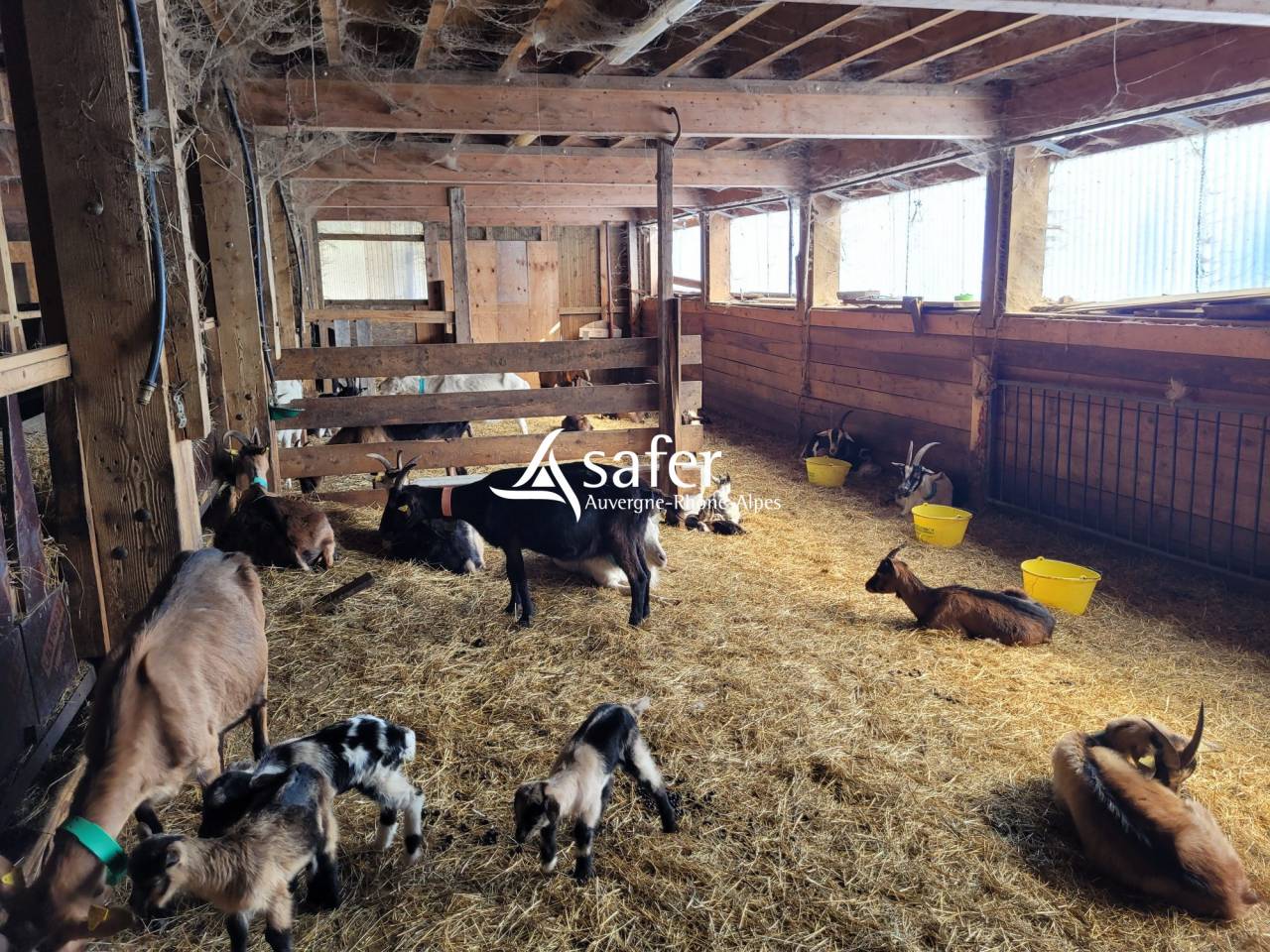 Explotaci&oacute;n agr&iacute;cola En venta Saboya