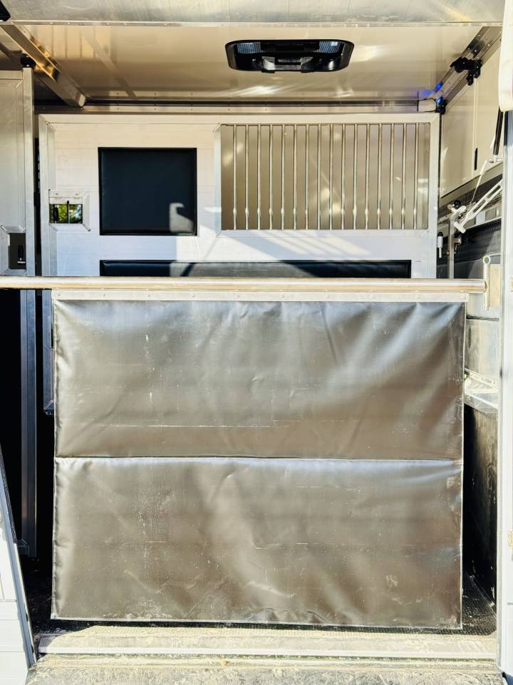 Furgoneta para caballos Opel MOVANO  2020 De segunda mano