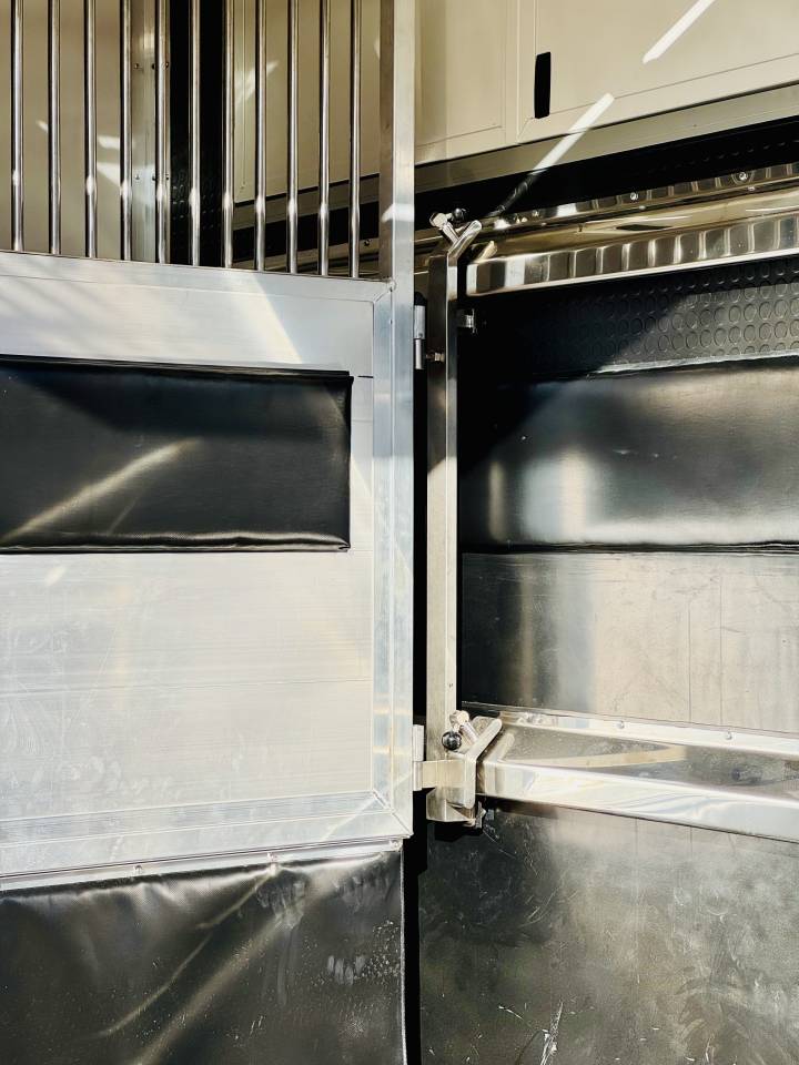 Furgoneta para caballos Opel MOVANO  2020 De segunda mano