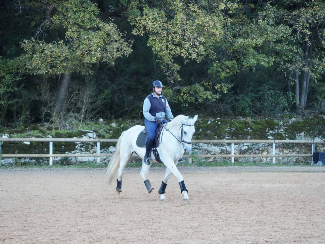 Caballo castrado Lusitano En venta 2017 Tordo por ARAGAO (PRT)
