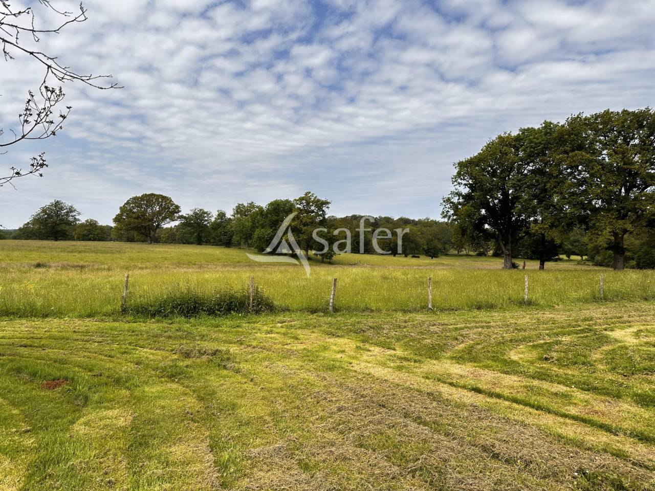 Explotación agrícola En venta Charente