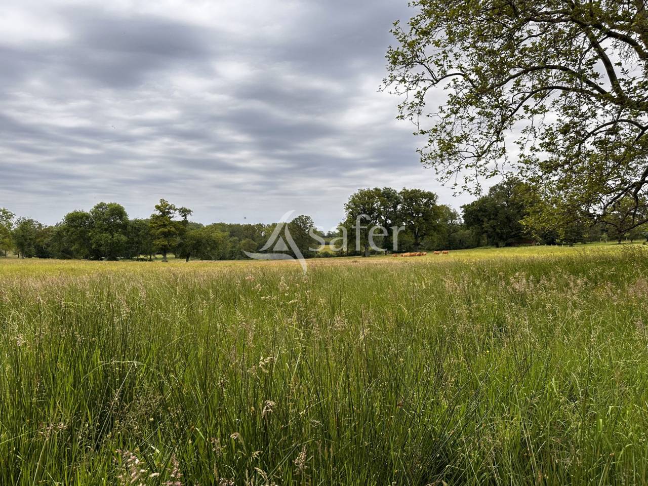 Explotaci&oacute;n agr&iacute;cola En venta Charente