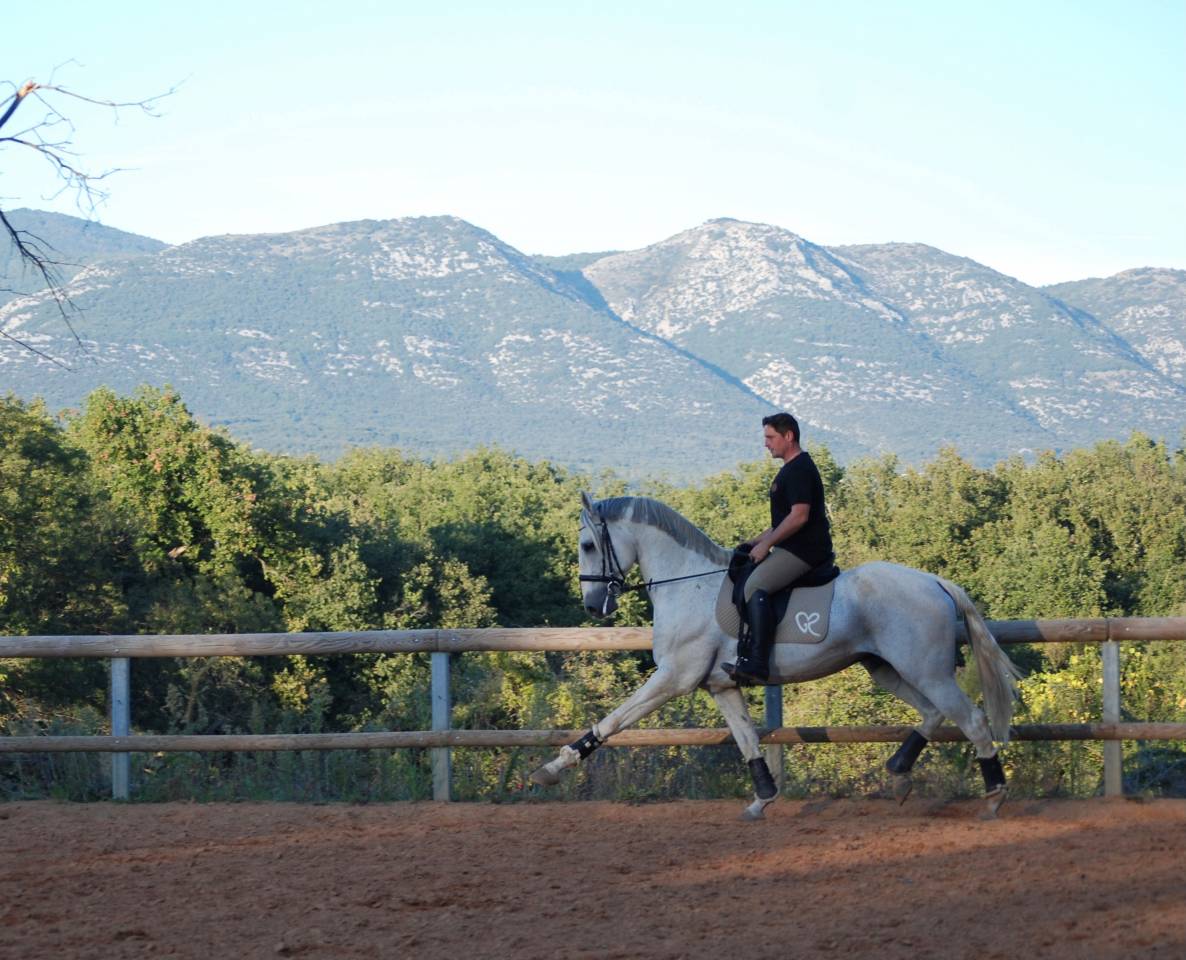 Soberano du Fesquet - Lusitano 2006 por HOSTIL JGB