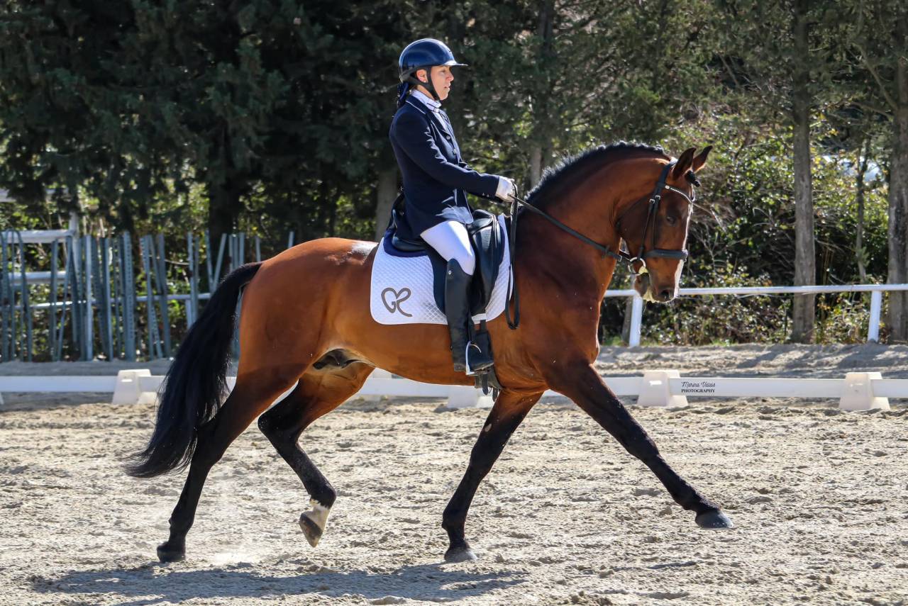 Dior du Fesquet - Lusitano 2013 por Rubi Ar