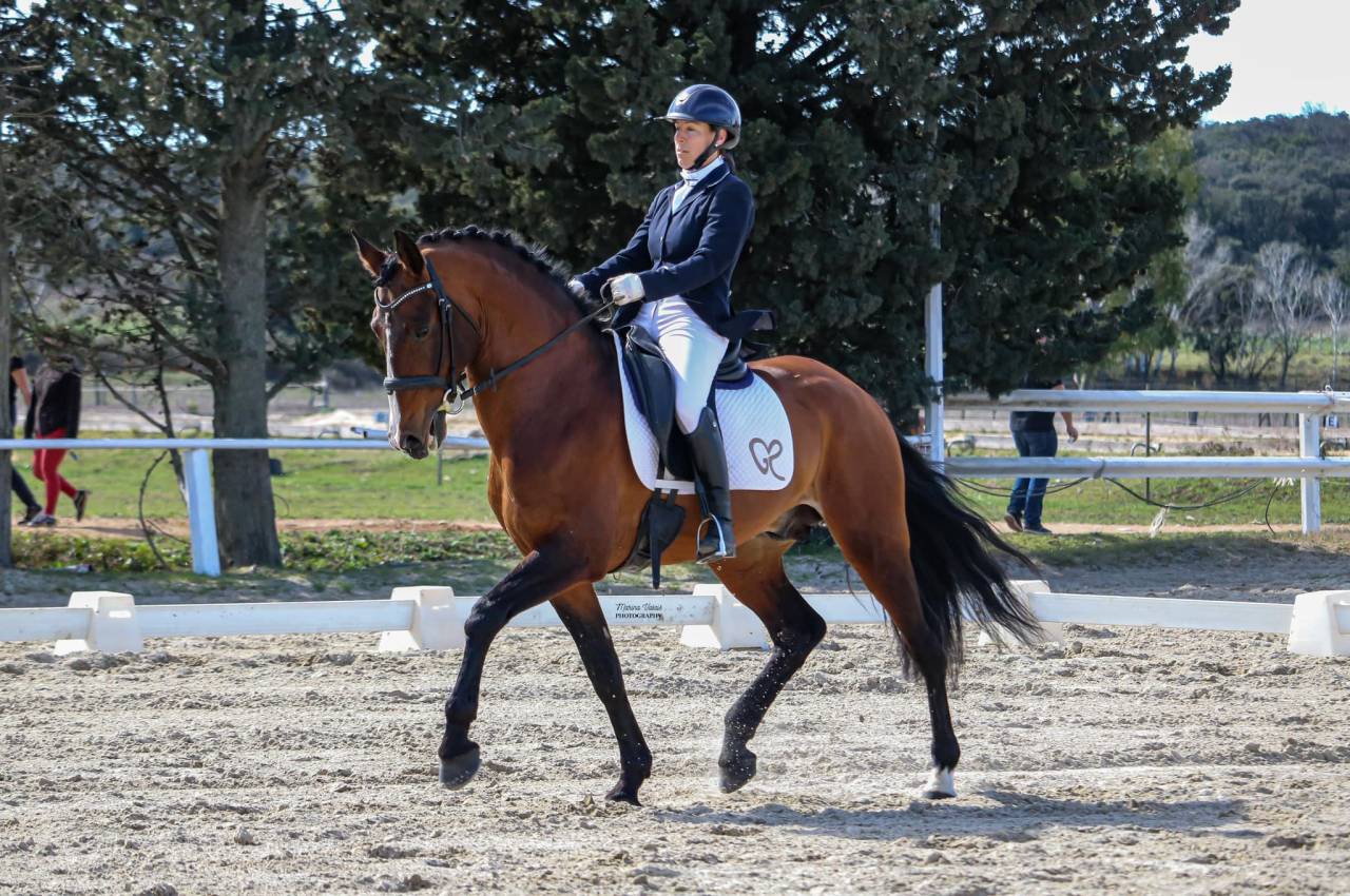 Dior du Fesquet - Lusitano 2013 por Rubi Ar