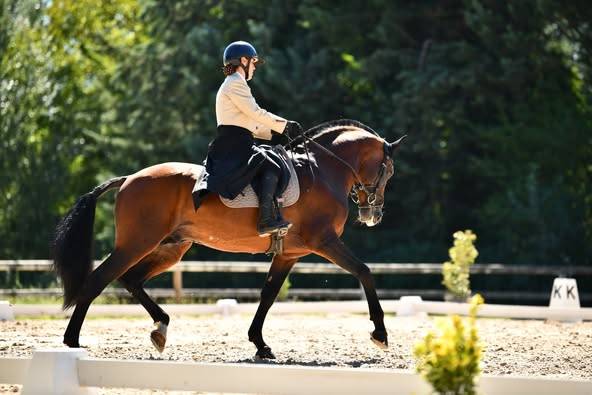 Dior du Fesquet - Lusitano 2013 por Rubi Ar