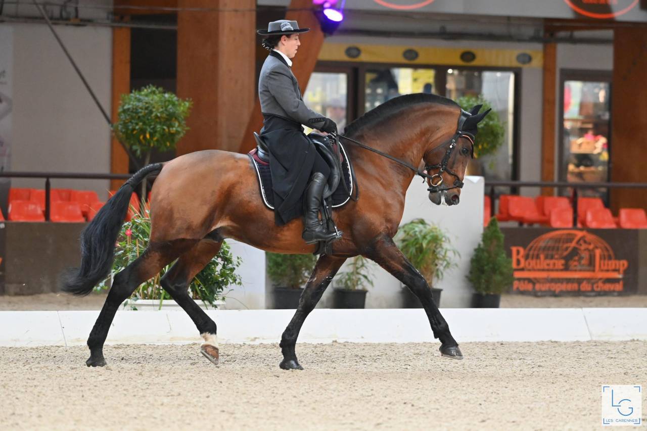 Dior du Fesquet - Lusitano 2013 por Rubi Ar