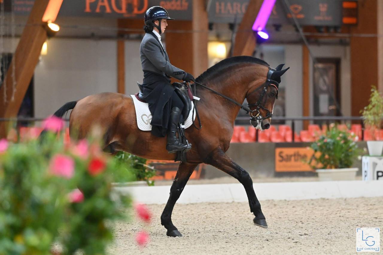 Dior du Fesquet - Lusitano 2013 por Rubi Ar