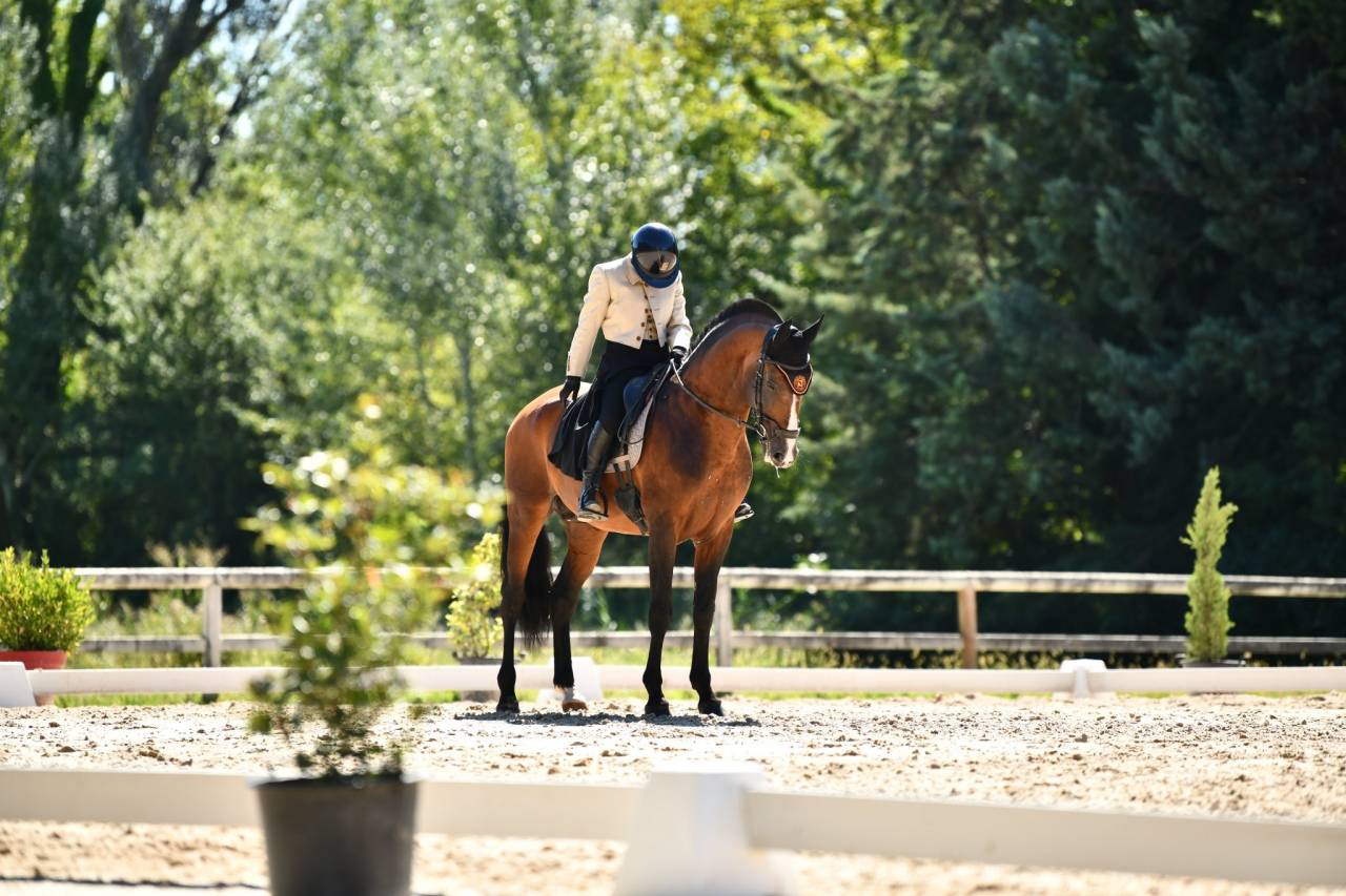Dior du Fesquet - Lusitano 2013 por Rubi Ar
