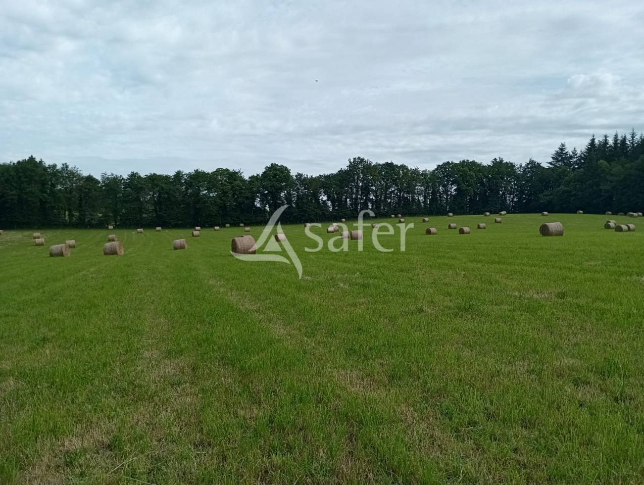 Propiedad rural En venta Creuse