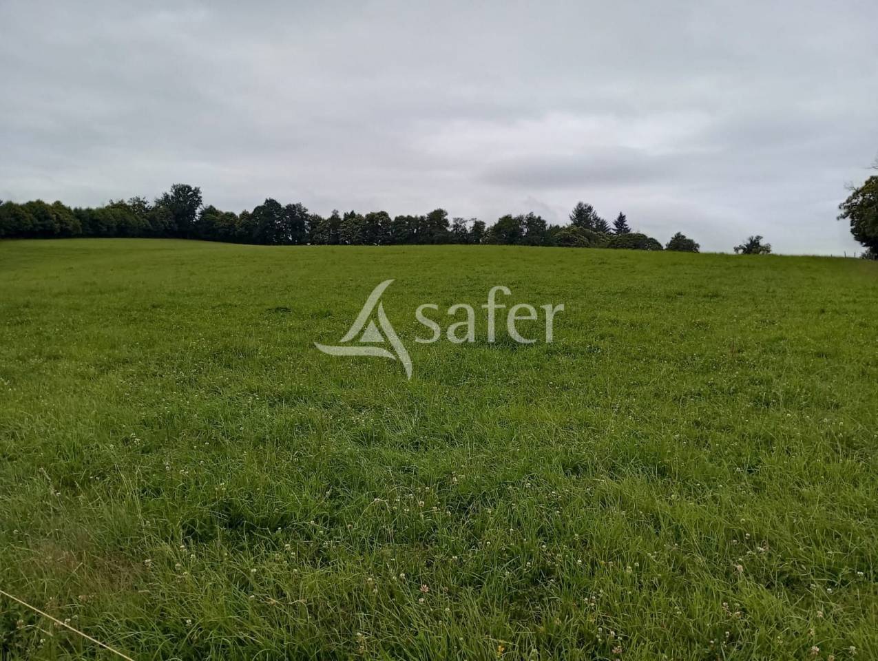 Propiedad rural En venta Creuse