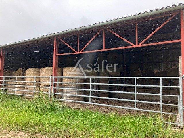 Explotación agrícola En venta Saona y Loira