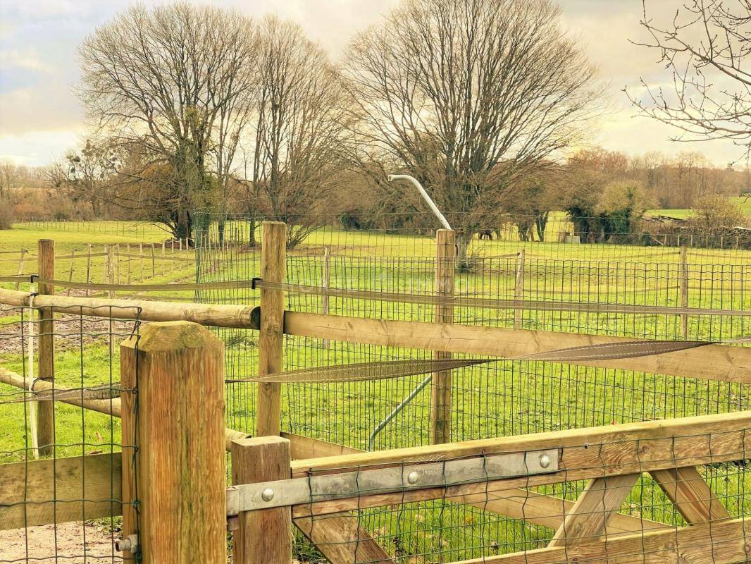 Propiedad ecuestre En venta Orne