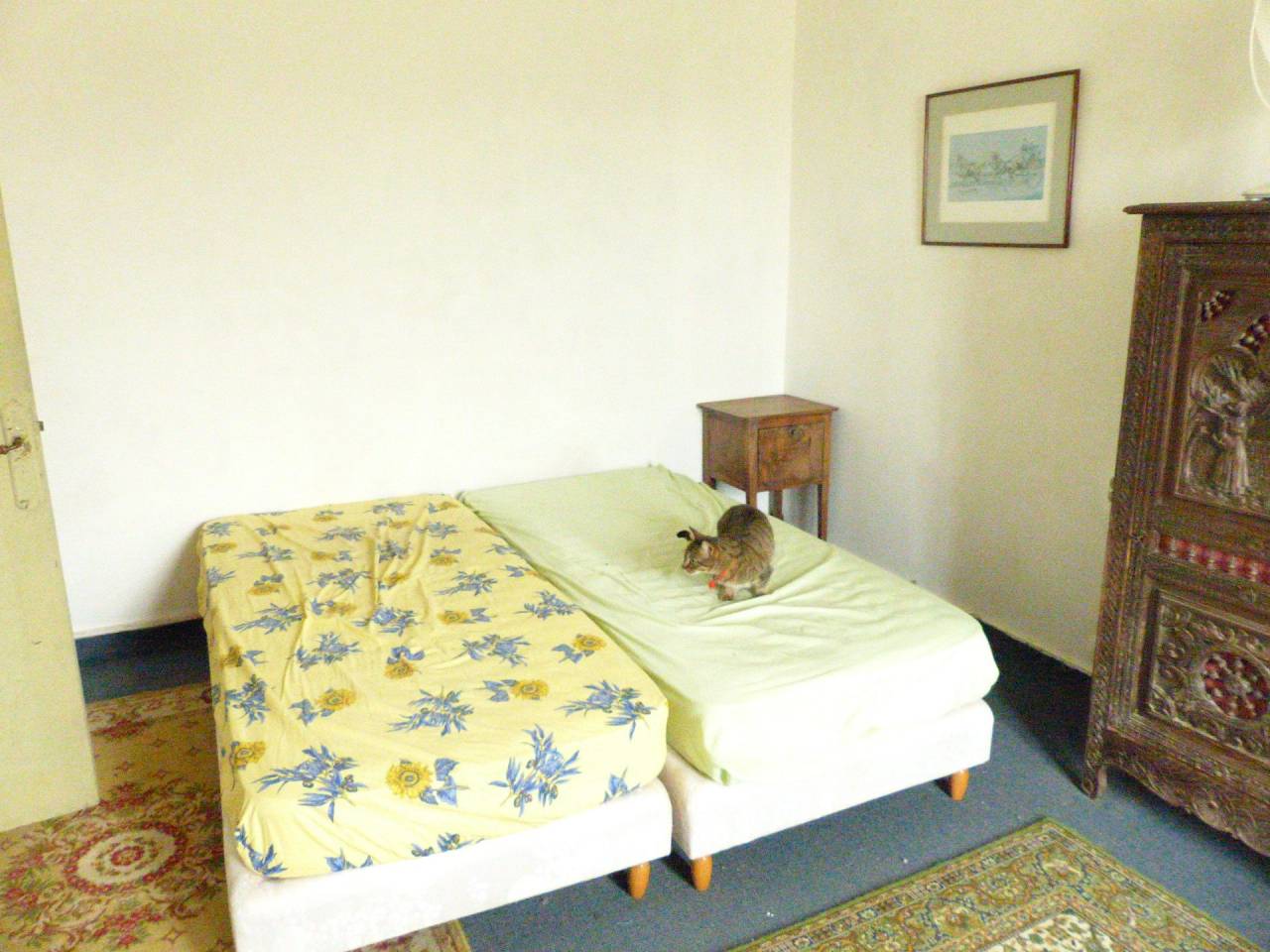 Propiedad ecuestre En venta Indre y Loira