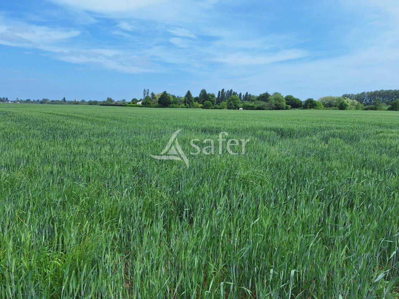 Explotación agrícola En venta Loiret