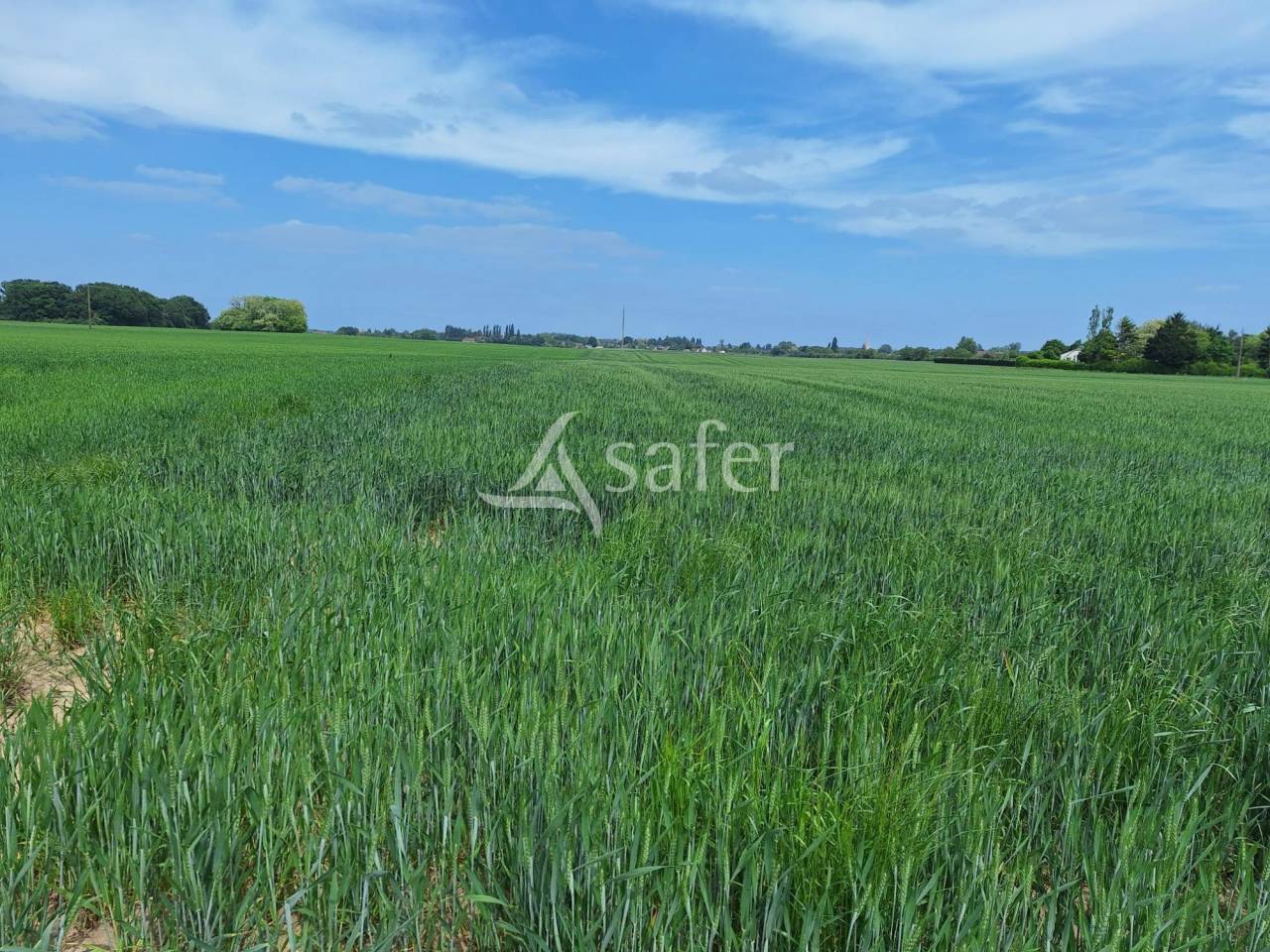 Explotación agrícola En venta Loiret