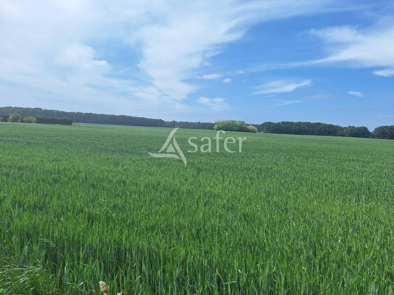 Explotación agrícola En venta Loiret