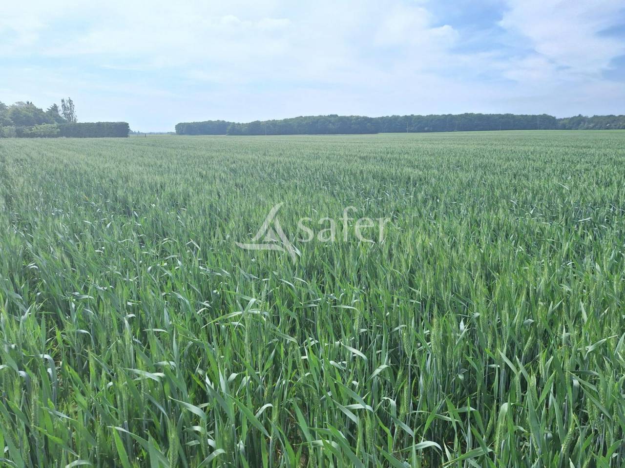 Explotación agrícola En venta Loiret