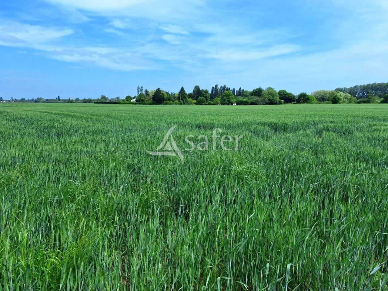 Explotación agrícola En venta Loiret