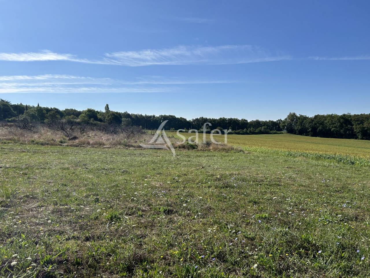 Explotaci&oacute;n agr&iacute;cola En venta Lot y Garona