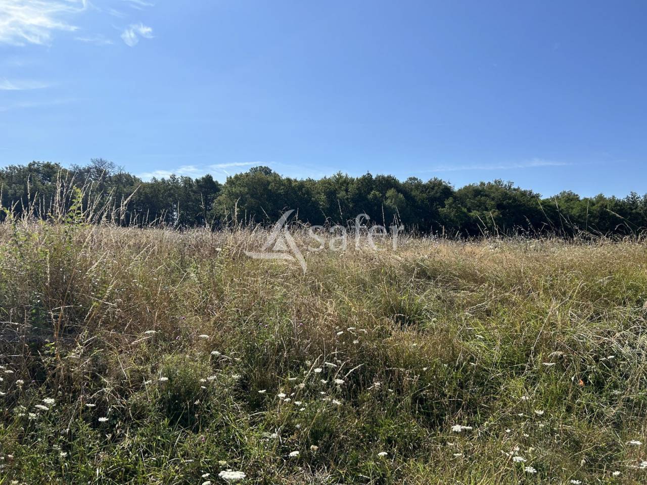 Explotaci&oacute;n agr&iacute;cola En venta Lot y Garona