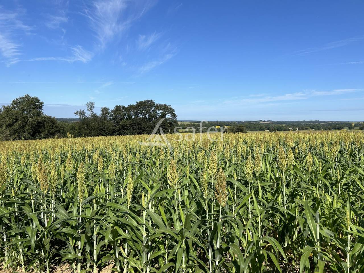 Explotaci&oacute;n agr&iacute;cola En venta Lot y Garona