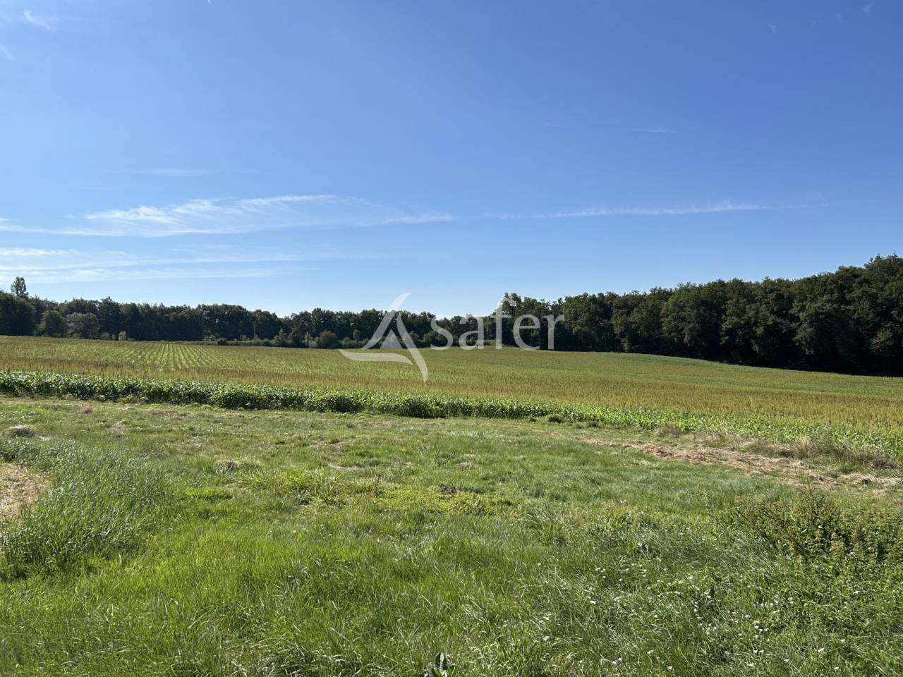 Explotaci&oacute;n agr&iacute;cola En venta Lot y Garona