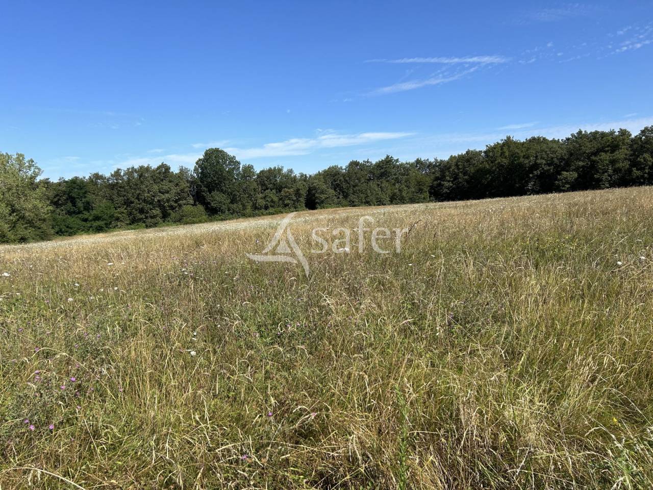 Explotaci&oacute;n agr&iacute;cola En venta Lot y Garona