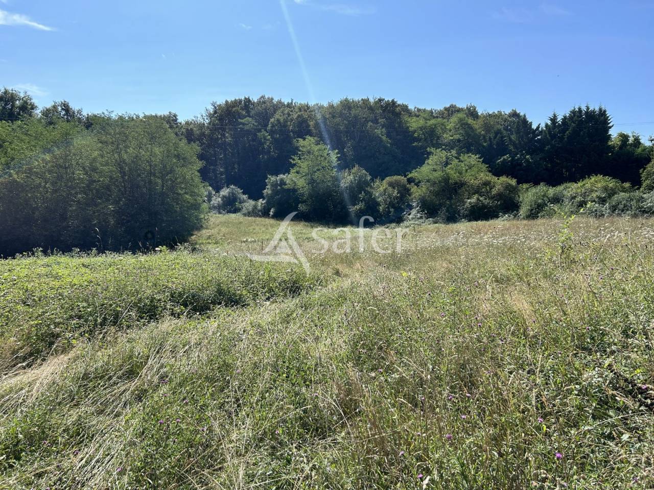 Explotaci&oacute;n agr&iacute;cola En venta Lot y Garona