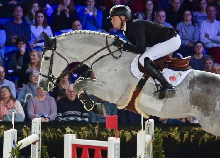 Yegua Silla Francés En venta 2014 Bayo por ARIOSO DU THEILLET