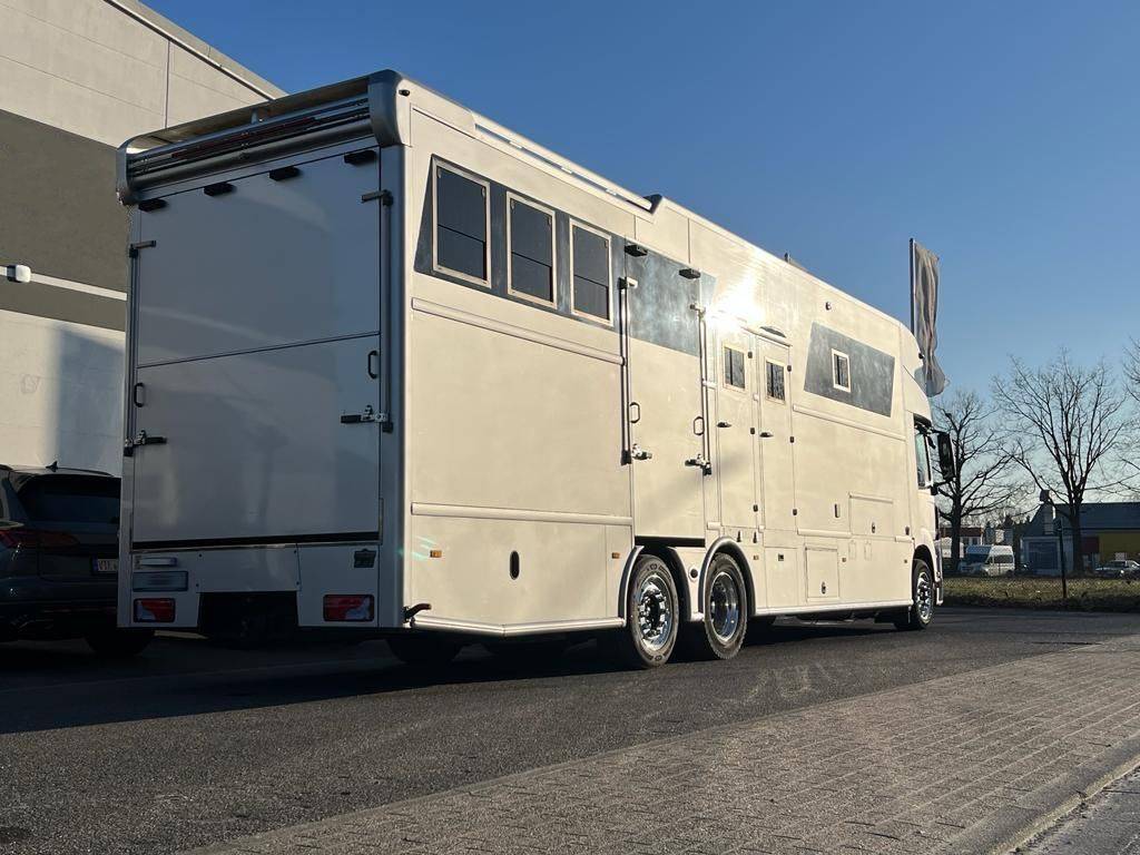 Camión para caballos Man MAN 0 De segunda mano