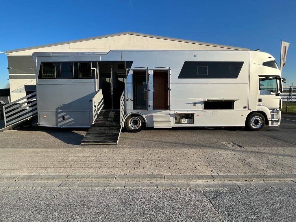 Camión para caballos Man MAN 0 De segunda mano