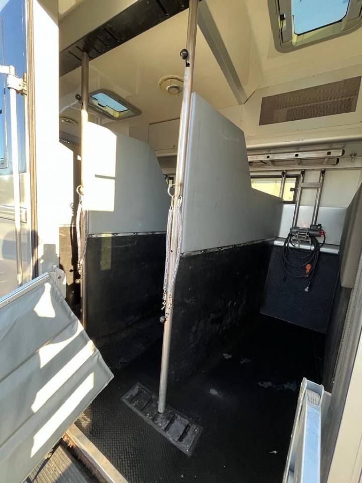 Camión para caballos Man MAN 0 De segunda mano