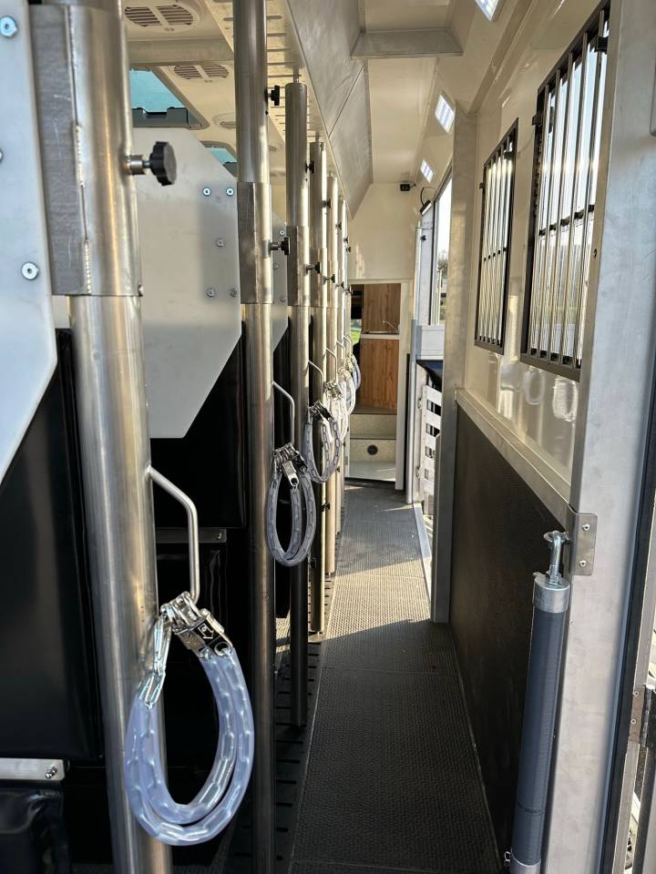 Camión para caballos Man MAN 0 Nuevo