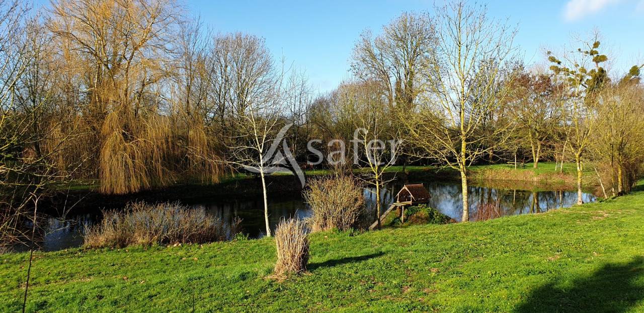 Explotación agrícola En venta Deux-Sèvres