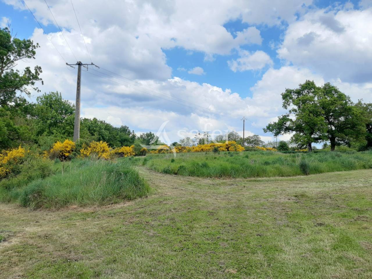 Explotación agrícola En venta Deux-Sèvres