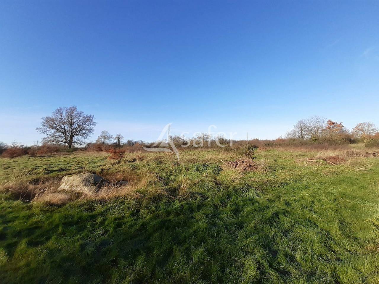 Explotación agrícola En venta Deux-Sèvres