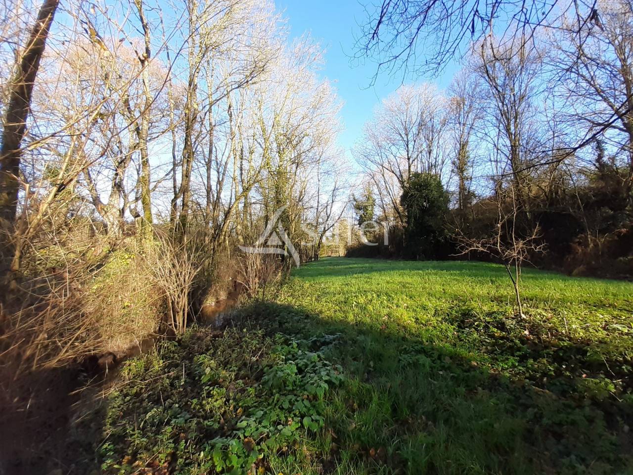 Explotación agrícola En venta Deux-Sèvres