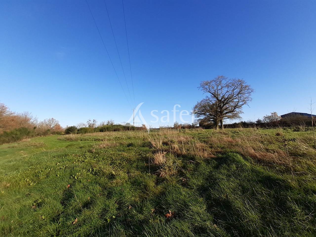 Explotación agrícola En venta Deux-Sèvres