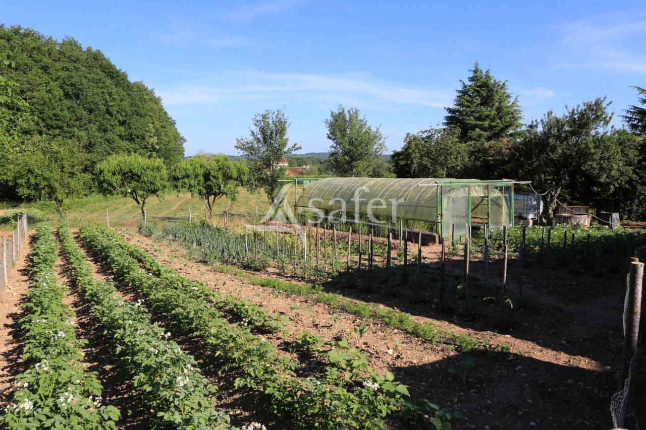 Propiedad rural En venta Lot