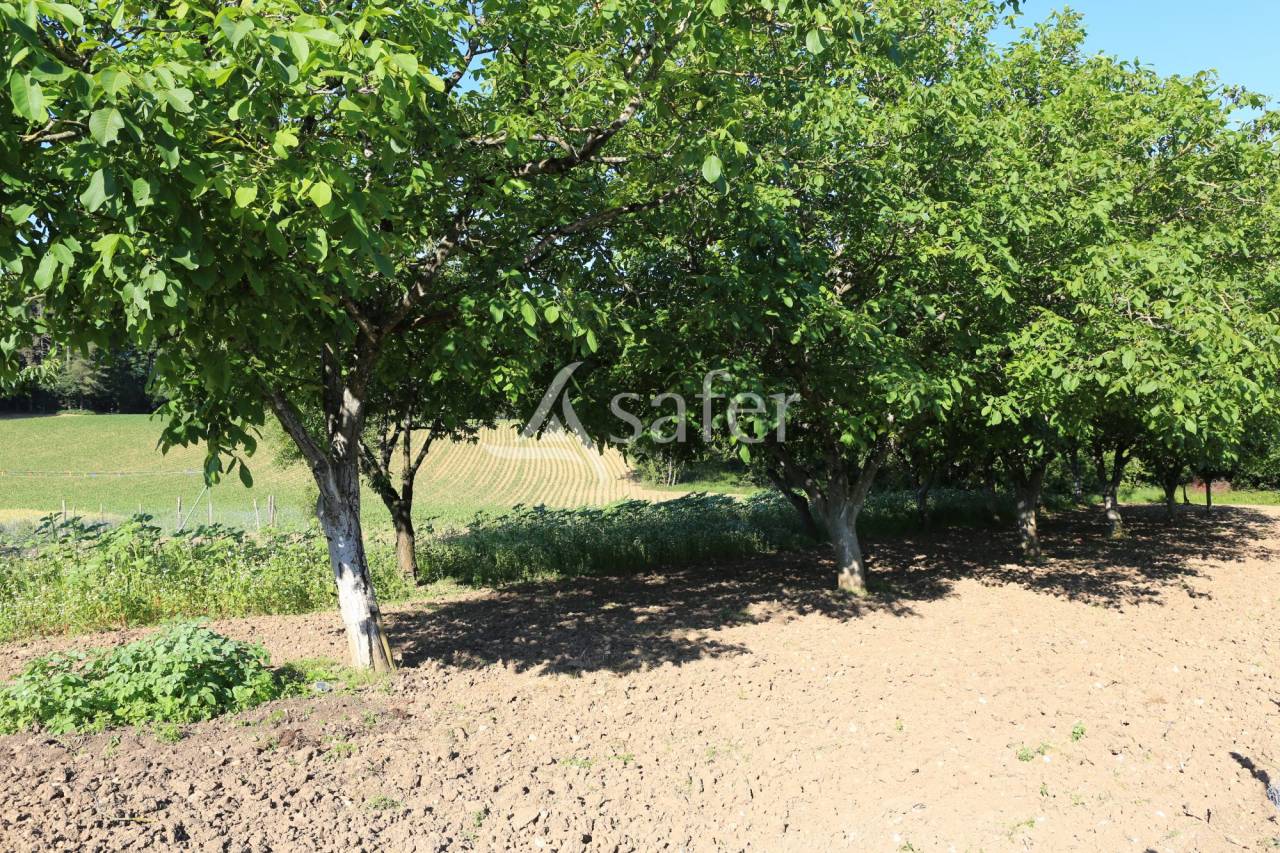 Propiedad rural En venta Lot