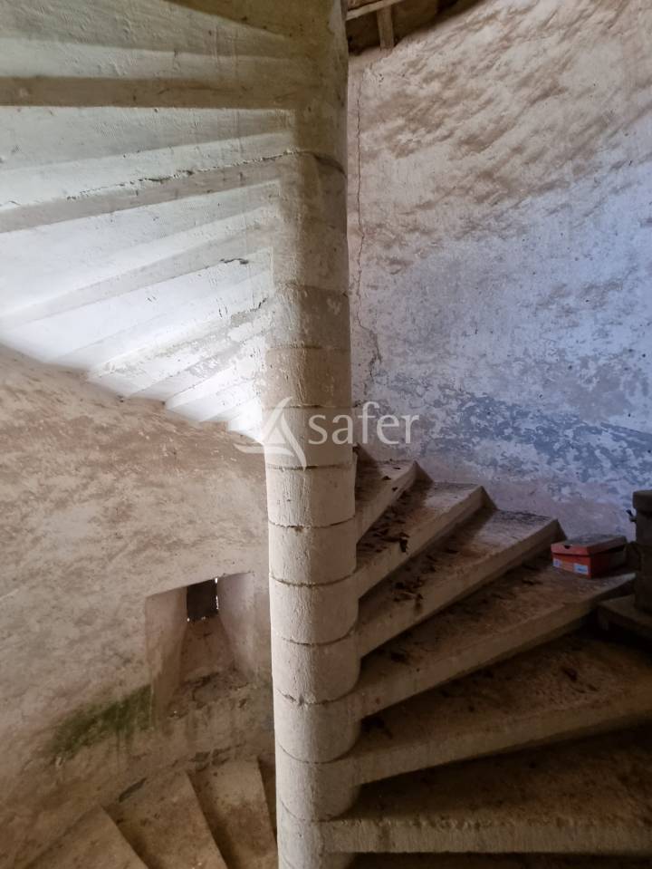 Propiedad rural En venta Lot